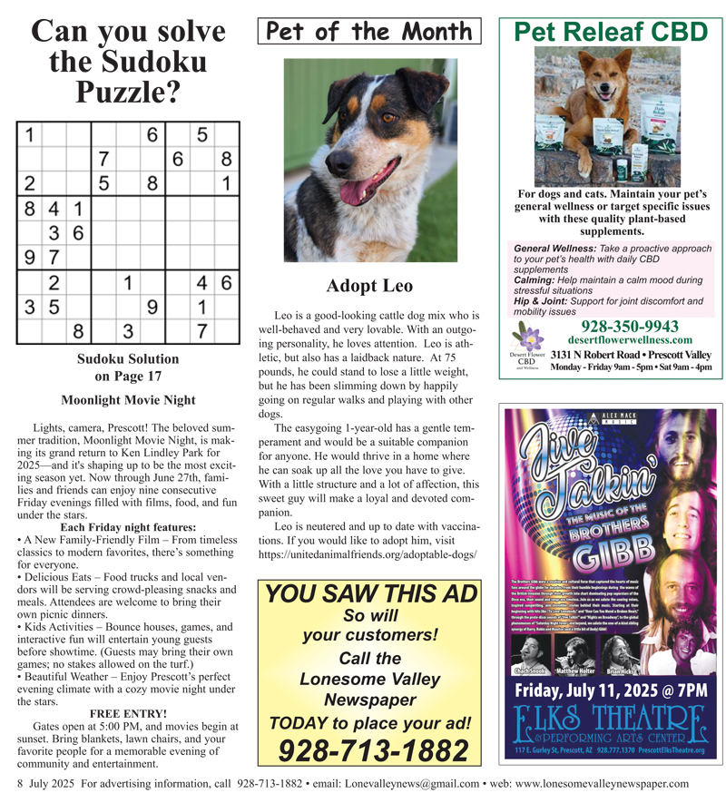 LVN-JULY-25 issue-8