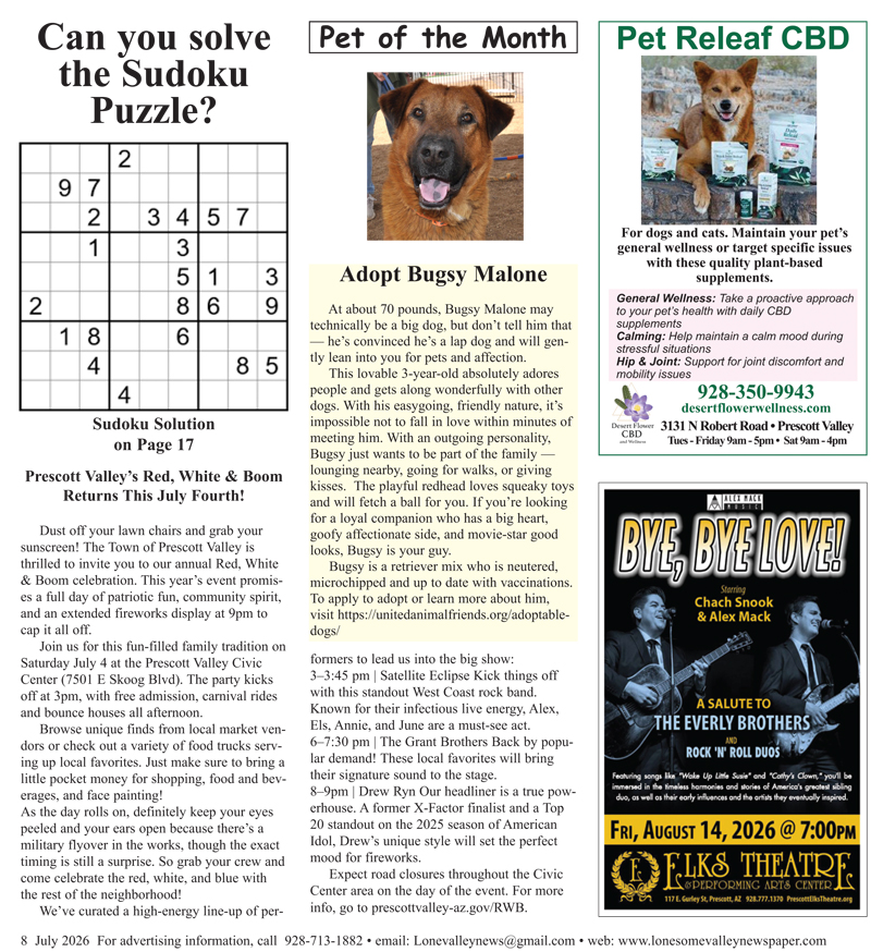 LVN-JULY-26 issue-8