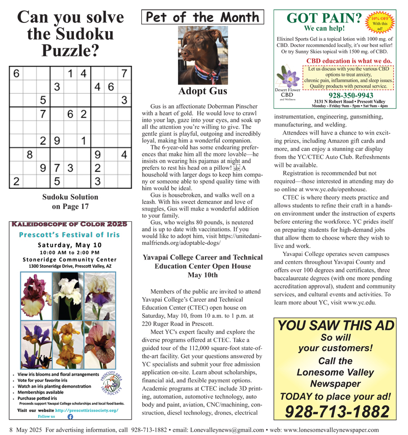 LVN-MAY-25 issue-8